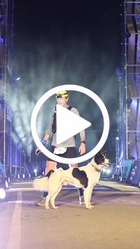 BIB:  <button type="button" onclick="openModal(27083718)" class="btn btn-primary btn-sm float-right" data-toggle="modal" data-target=".modal-high-quality">
                <i class="fa fa-download"></i> Download
                </button>